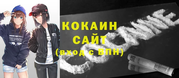 прущие грибы Балабаново