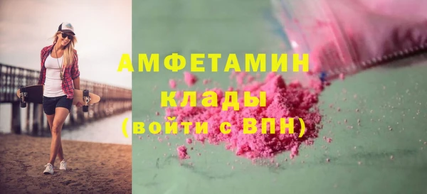 прущие грибы Балабаново