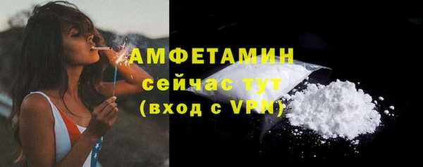 прущие грибы Балабаново