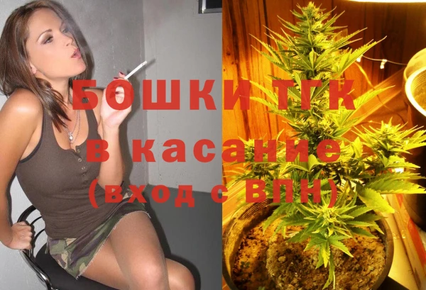 прущие грибы Балабаново